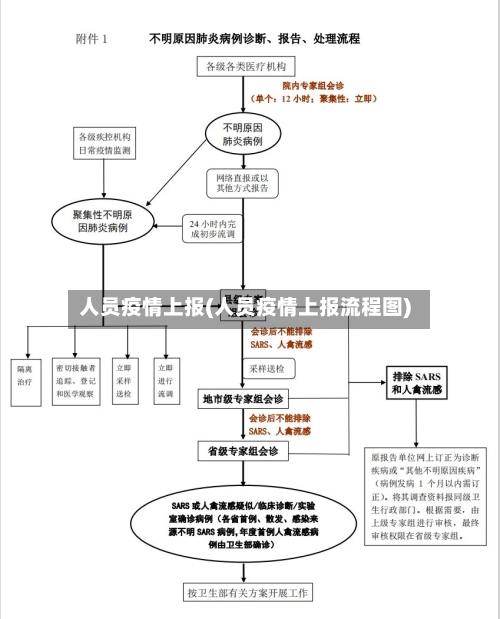 人员疫情上报(人员疫情上报流程图)
