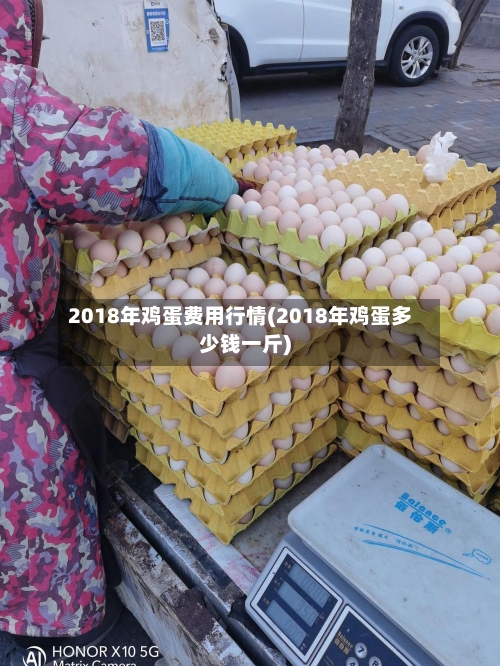 2018年鸡蛋费用行情(2018年鸡蛋多少钱一斤)
