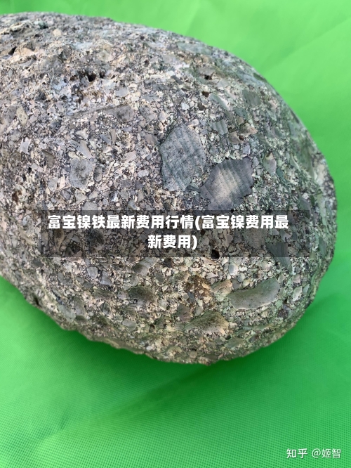 富宝镍铁最新费用行情(富宝镍费用最新费用)-第2张图片