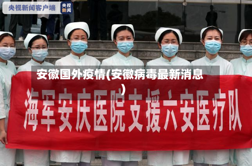 安徽国外疫情(安徽病毒最新消息)-第2张图片