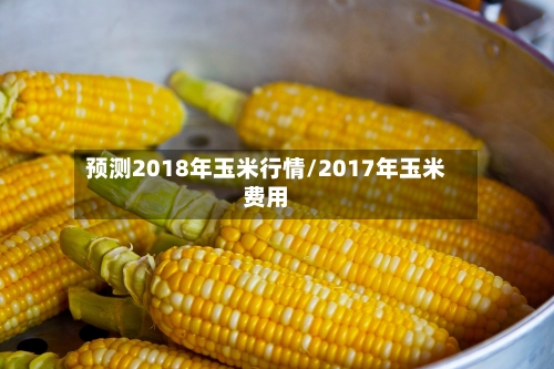 预测2018年玉米行情/2017年玉米费用-第2张图片