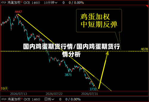 国内鸡蛋期货行情/国内鸡蛋期货行情分析