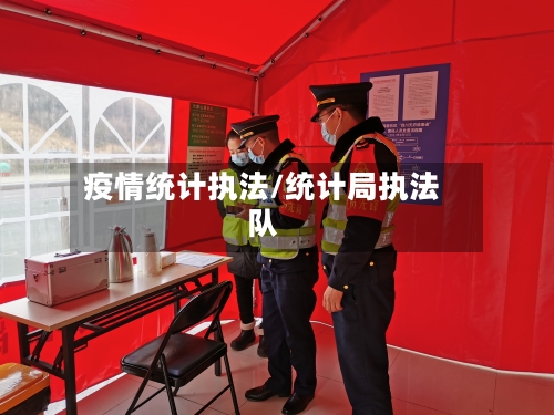 疫情统计执法/统计局执法队