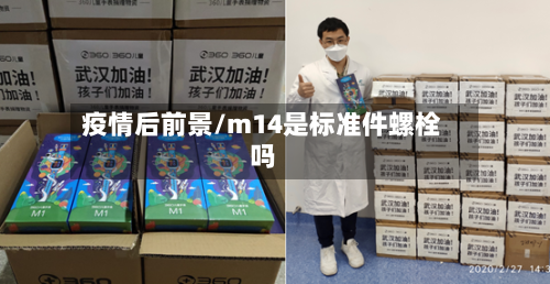 疫情后前景/m14是标准件螺栓吗-第2张图片