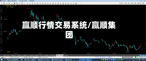 赢顺行情交易系统/赢顺集团-第3张图片
