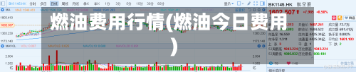 燃油费用行情(燃油今日费用)-第2张图片