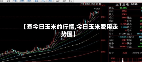 【查今日玉米的行情,今日玉米费用走势图】-第2张图片