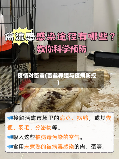 疫情对畜禽(畜禽养殖与疫病防控)-第3张图片