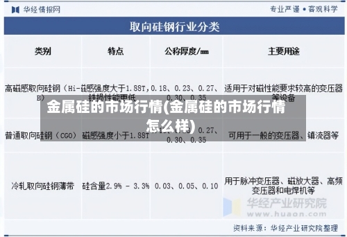 金属硅的市场行情(金属硅的市场行情怎么样)