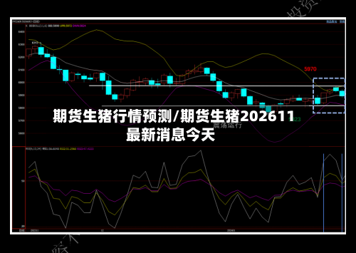 期货生猪行情预测/期货生猪202611最新消息今天-第2张图片