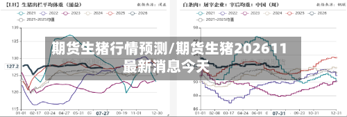 期货生猪行情预测/期货生猪202611最新消息今天
