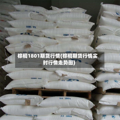 棕榈1801期货行情(棕榈期货行情实时行情走势图)