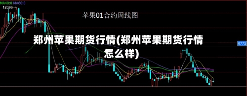郑州苹果期货行情(郑州苹果期货行情怎么样)-第2张图片