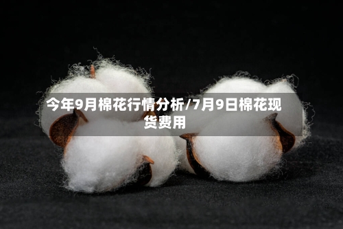 今年9月棉花行情分析/7月9日棉花现货费用-第2张图片