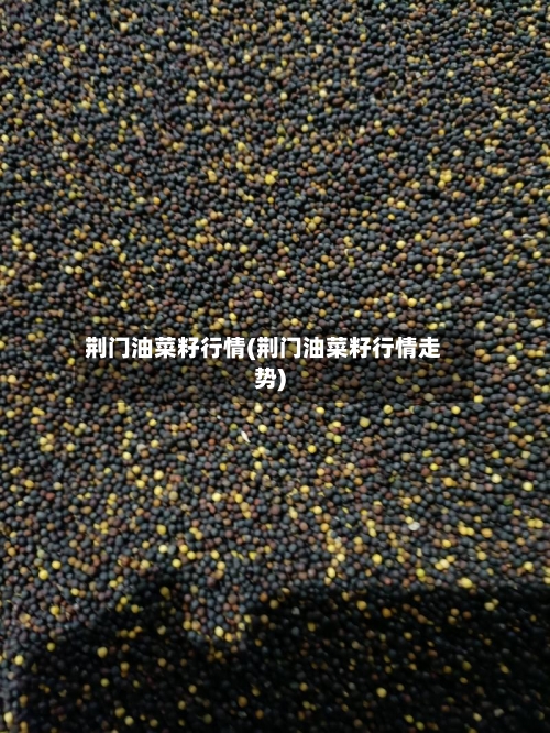 荆门油菜籽行情(荆门油菜籽行情走势)