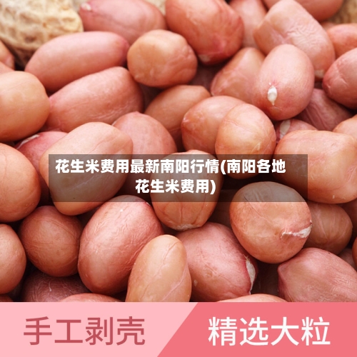 花生米费用最新南阳行情(南阳各地花生米费用)-第2张图片