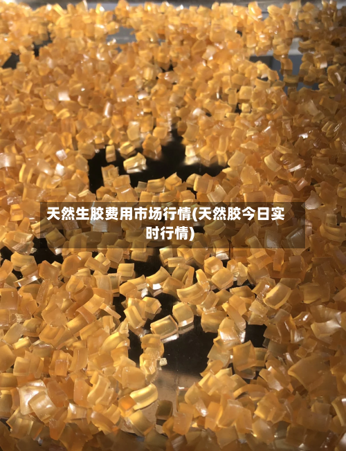 天然生胶费用市场行情(天然胶今日实时行情)