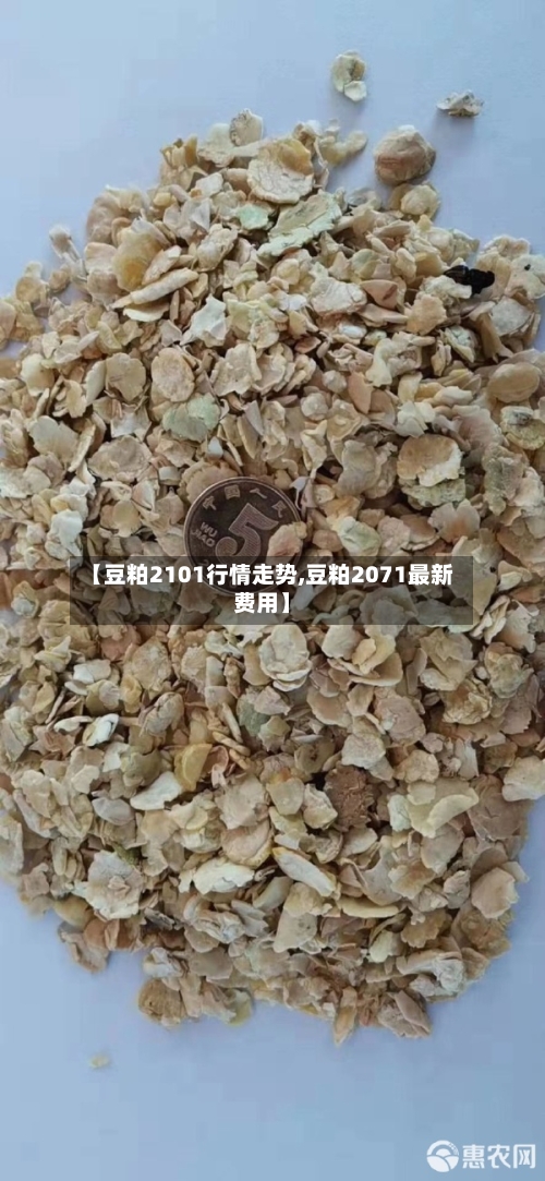 【豆粕2101行情走势,豆粕2071最新费用】-第2张图片