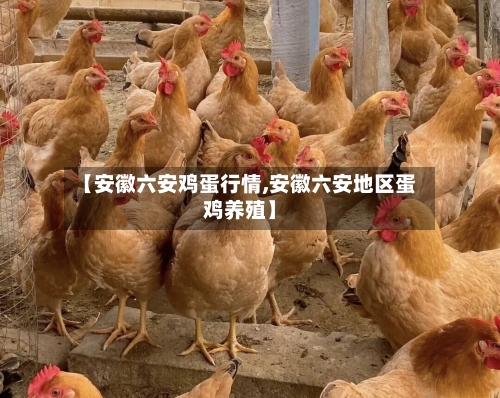 【安徽六安鸡蛋行情,安徽六安地区蛋鸡养殖】-第3张图片