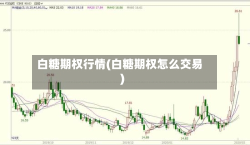 白糖期权行情(白糖期权怎么交易)-第2张图片