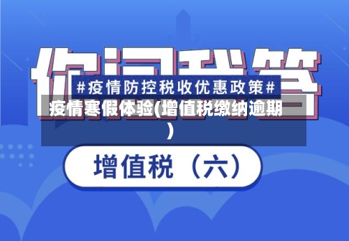疫情寒假体验(增值税缴纳逾期)-第3张图片