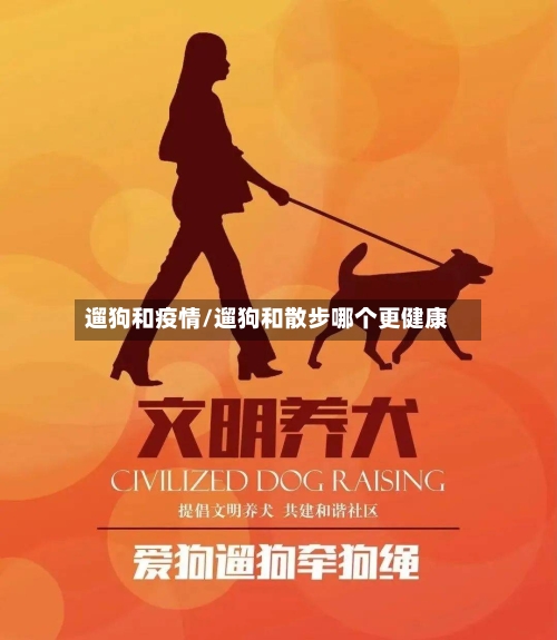 遛狗和疫情/遛狗和散步哪个更健康-第3张图片