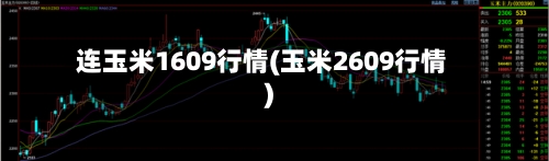 连玉米1609行情(玉米2609行情)