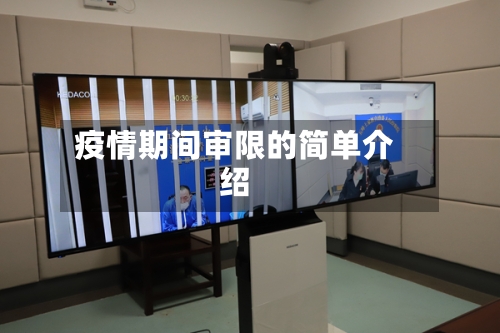 疫情期间审限的简单介绍-第2张图片
