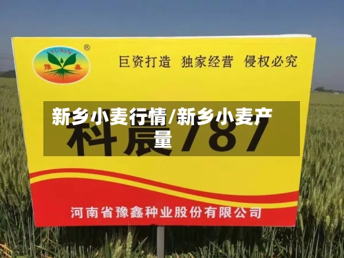 新乡小麦行情/新乡小麦产量-第3张图片