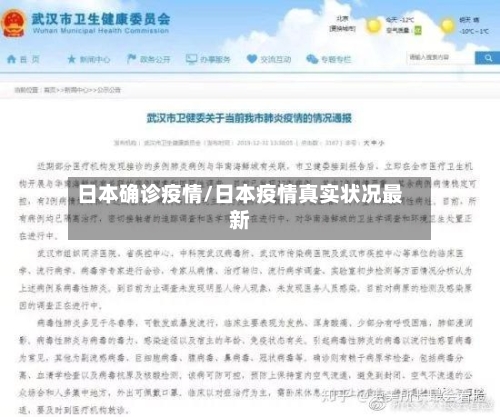 日本确诊疫情/日本疫情真实状况最新-第2张图片