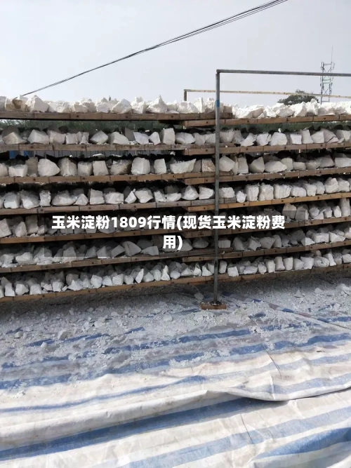 玉米淀粉1809行情(现货玉米淀粉费用)-第3张图片