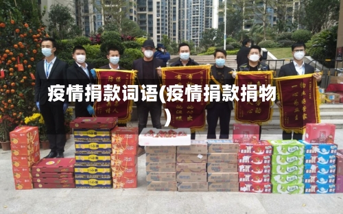 疫情捐款词语(疫情捐款捐物)-第2张图片