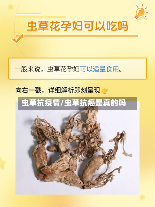 虫草抗疫情/虫草抗癌是真的吗-第3张图片