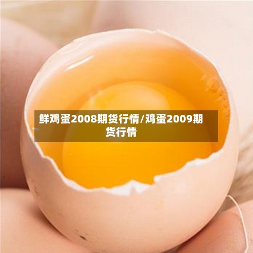 鲜鸡蛋2008期货行情/鸡蛋2009期货行情-第3张图片