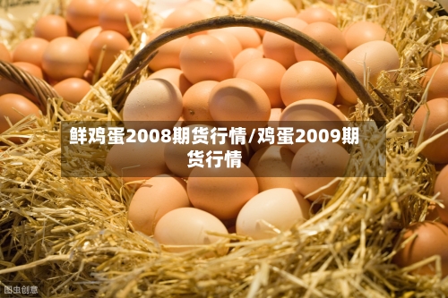 鲜鸡蛋2008期货行情/鸡蛋2009期货行情
