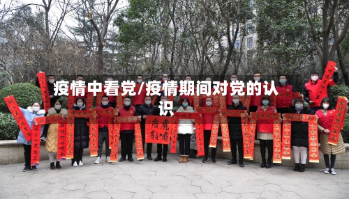 疫情中看党/疫情期间对党的认识
