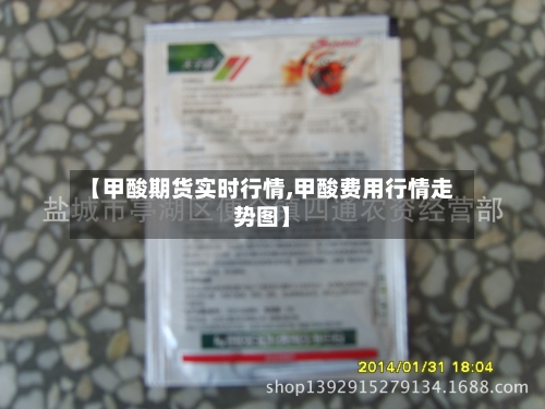 【甲酸期货实时行情,甲酸费用行情走势图】