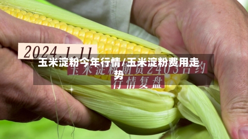 玉米淀粉今年行情/玉米淀粉费用走势-第3张图片