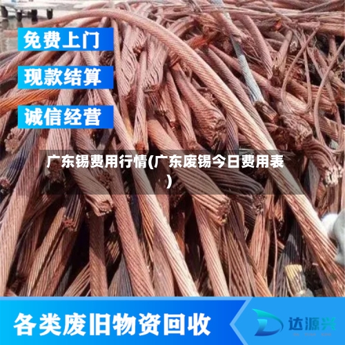 广东锡费用行情(广东废锡今日费用表)