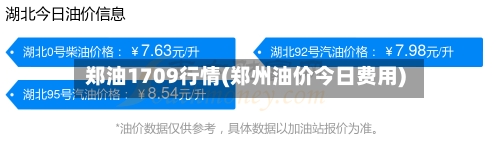 郑油1709行情(郑州油价今日费用)