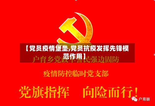 【党员疫情堡垒,党员抗疫发挥先锋模范作用】-第2张图片