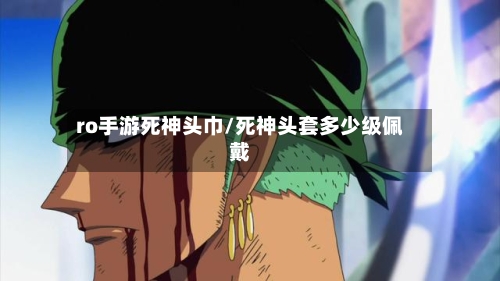 ro手游死神头巾/死神头套多少级佩戴-第2张图片