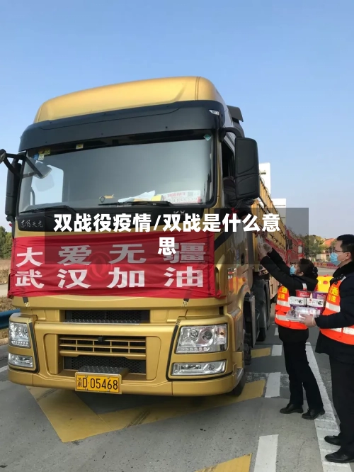 双战役疫情/双战是什么意思