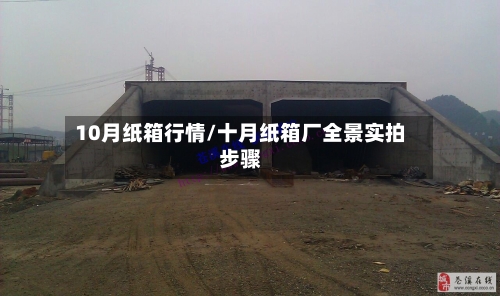 10月纸箱行情/十月纸箱厂全景实拍步骤