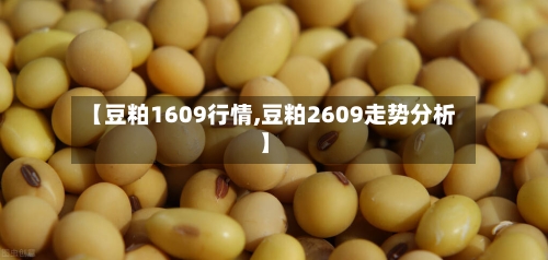 【豆粕1609行情,豆粕2609走势分析】-第2张图片