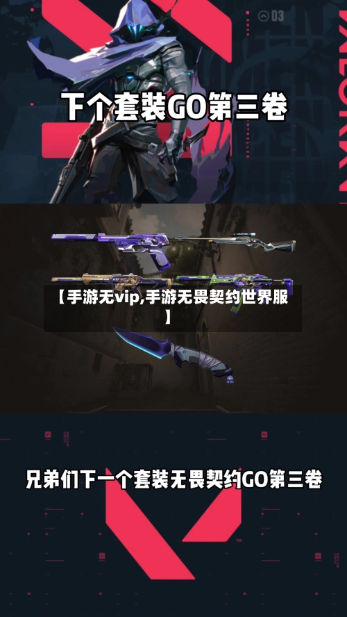【手游无vip,手游无畏契约世界服】