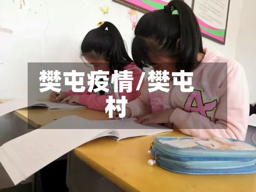 樊屯疫情/樊屯村-第2张图片
