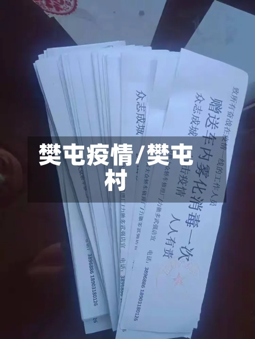 樊屯疫情/樊屯村