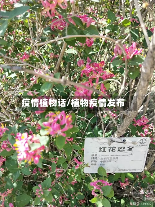 疫情植物话/植物疫情发布-第3张图片