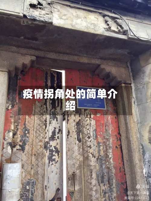 疫情拐角处的简单介绍